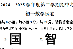 江苏省淮安市淮安经济技术开发区开明中学2024-2025学年七年级下学期4月期中数学试题（含解析）