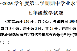 江苏省连云港市新海实验中学2024－2025学年七年级下学期期中考试数学试题（含解析）