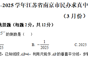 江苏省南京市求真中学2024-2025学年下学期期中考试七年级数学试卷（含解析）
