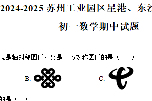 江苏省苏州工业园区星港、东沙湖、景城学校2024—2025学年下学期七年级数学期中试题（含解析）