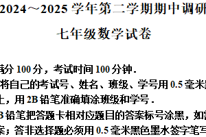 江苏省苏州市苏州工业园区星湾学校2024-2025学年下学期七年级数学期中调研试卷（含解析）