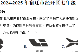 江苏省宿迁市经开区2024—2025学年七年级下学期期中考试数学试题（含解析）