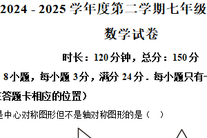 江苏省宿迁市南京师范大学附属中学宿迁分校2024— 2025学年下学期七年级期中测试 数学试卷（含解析）