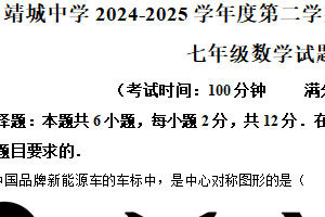 江苏省泰州市靖江市靖城中学2024—2025学年下学期七年级期中数学试题（含解析）