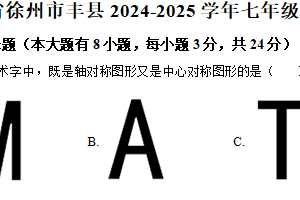江苏省徐州市丰县2024-2025学年七年级下学期期中考试数学试题（含解析）