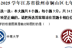 江苏省徐州市铜山区2024—2025学年下学期期中考试七年级数学试卷（含解析）