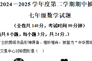 江苏省徐州市新沂市2024-2025学年七年级下学期期中数学试题（含解析）