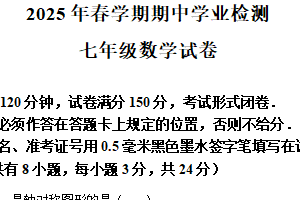江苏省盐城市大丰区2024-2025学年下学期期中学业检测七年级数学试卷（含解析）