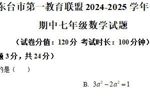 江苏省盐城市东台市第一教育联盟2024-2025学年七年级下学期4月期中数学试题（含解析）