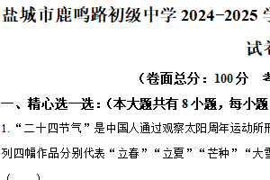 江苏省盐城市鹿鸣路初级中学2024—2025学年下学期七年级数学期中试卷（含解析）