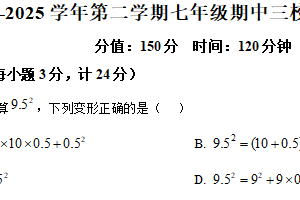 江苏省盐城市盐城经济技术开发区三校联考2024-2025学年七年级下学期4月期中考试数学试题（含解析）
