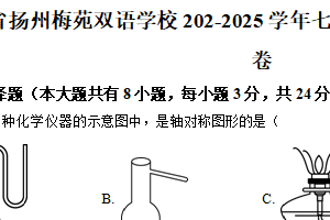 江苏省扬州市梅苑双语学校2024-2025学年七年级下学期期中考试数学试卷（含解析）
