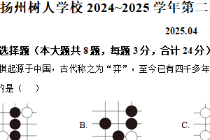 江苏省扬州市树人学校2024~2025学年七年级下学期数学期中试卷（含解析）