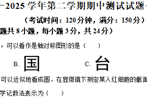 江苏省扬州市仪征市2024-2025学年下学期七年级数学期中考试卷（含解析）
