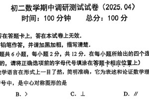 江苏省南京市新城学校2024-2025学年下学期八年级期中考试数学试卷（无答案）