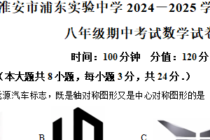 江苏省淮安市浦东实验中学2024-2025学年八年级下学期期中考试数学试题（含解析）