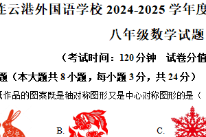 江苏省连云港市连云港外国语学校2024—2025学年下学期八年级数学科期中考试（含解析）
