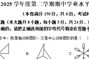 江苏省连云港市新海实验中学2024-2025学年八年级下学期数学期中试卷（含解析）