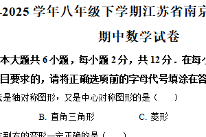 江苏省南京市致远初级中学2024-2025学年八年级下学期期中数学试卷（含解析）