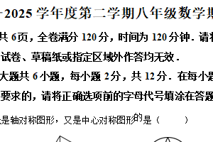江苏省南京玄武外国语学校和科利华联考2024-2025学年八年级下学期期中数学试题（含解析）