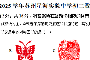 江苏省苏州工业园区星海实验初级中学2024—2025学下学期八年级数学期中考试卷（含解析）