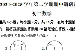 江苏省苏州园区青剑湖实验中学2024-2025学年八年级下学期期中数学试题（含解析）