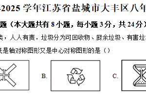江苏省盐城市大丰区2024-2025学年八年级下学期期中考试数学试卷（含解析）