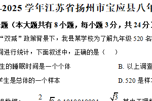 江苏省扬州市宝应县2024—2025学年下学期八年级数学期中测试卷（含解析）