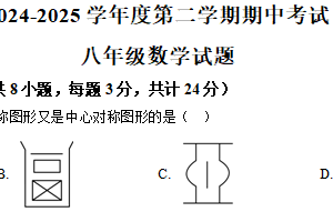 江苏省扬州市梅苑双语中学2024-2025学年八年级下学期期中数学考试（含解析）