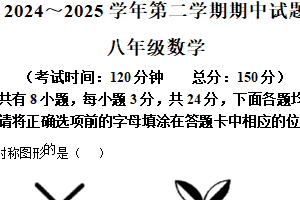 江苏省扬州市仪征市2024-2025学年下学期八年级数学期中考试试卷（含解析）