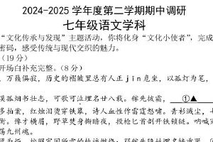 江苏省南京市金陵河西中学2024-2025学年七年级下学期期中语文调研卷（无答案）