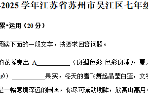 江苏省苏州市吴江区2024-2025学年七年级下学期期中考试语文试题（含解析）