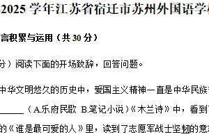 江苏省宿迁市苏州外国语实验学校等校联考2024-2025学年七年级下学期4月期中语文试题（含解析）