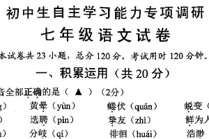 江苏省镇江市丹徒区2024-2025学年七年级下学期4月期中语文试题（含答案）