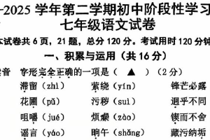 江苏省镇江市江苏大学附属学校2024-2025学年七年级下学期期中考试语文试卷（无答案）