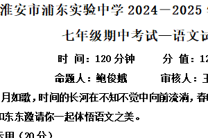江苏省淮安市浦东实验中学2024-2025学年七年级下学期期中语文试题（含解析）