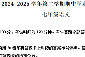 江苏省南京市建邺区南京师范大学附属中学新城初级中学2024-2025学年七年级下学期期中语文试题（含解析）
