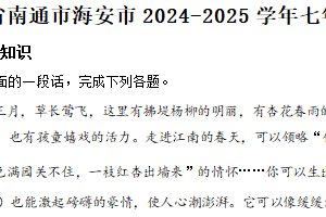江苏省南通市海安市2024-2025学年七年级下学期期中语文试题（含解析）