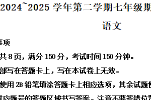 江苏省宿迁市泗阳县2024-2025学年七年级下学期期中语文试题（含解析）
