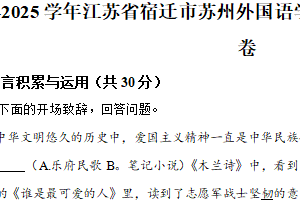 江苏省宿迁市苏州外国语实验学校等校联考2024-2025学年七年级下学期期中语文试题（含解析）