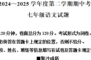 江苏省盐城市建湖县2024-2025学年七年级下学期期中语文试题（含解析）