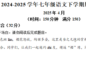 江苏省扬州市宝应县2024-2025学年七年级下学期期中语文试题（含解析）