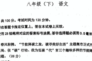 江苏省南京市鼓楼区南京师范大学附属中学树人学校2024-2025学年八年级下学期期中考试语文试题（无答案）