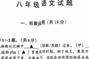 江苏省常州市新北区龙城初级中学2024-2025学年八年级下学期4月期中语文试题（无答案）