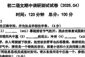 江苏省南京市建邺区南京师范大学附属中学新城初级中学2024-2025学年八年级下学期期中考试语文试题（无答案）