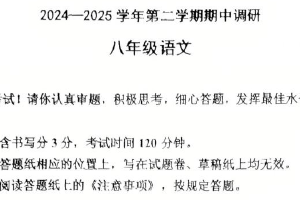 江苏省南京市金陵中学河西分校2024-2025学年八年级下学期期中考试语文试题（无答案）