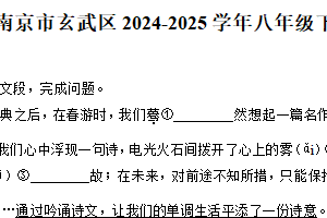 江苏省南京市玄武区2024-2025学年八年级下学期期中语文试卷（含解析）