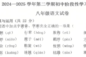 江苏省镇江市润州区镇江实验学校2024-2025学年八年级下学期期中考试语文试题（无答案）