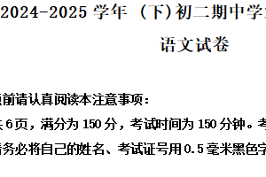 江苏省南通市通州区2024-2025学年八年级下学期期中语文试题（含解析）