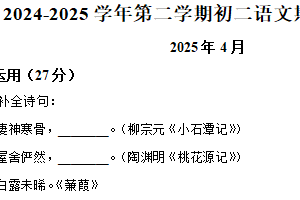 江苏省无锡市江阴市青阳镇2024-2025学年八年级下学期期中语文试题（含解析）